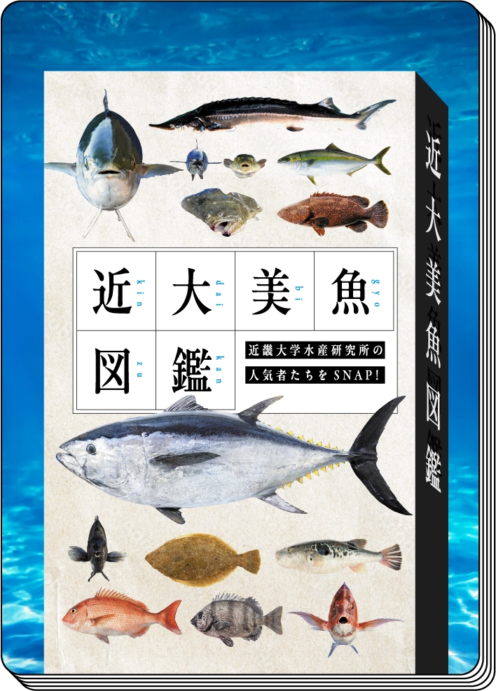 近大美魚図鑑