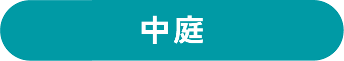 中庭