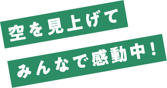 空を見上げてみんなで感動中!