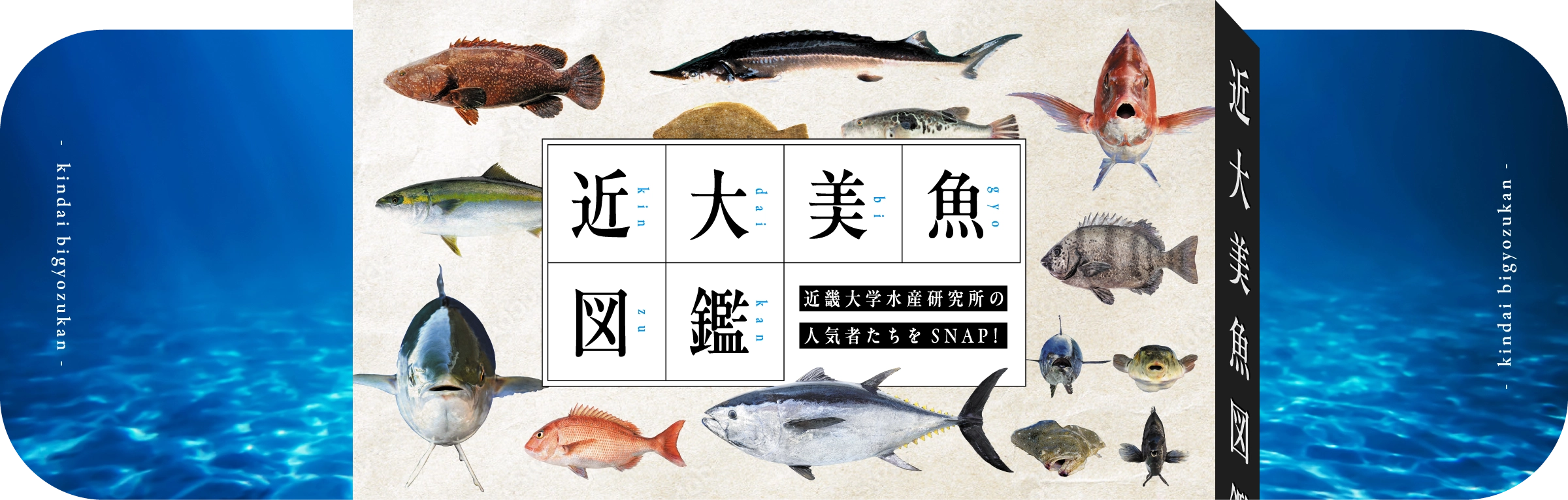 近大美魚図鑑