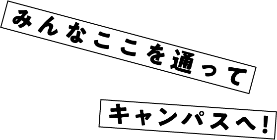 みんなここを通ってキャンパスへ