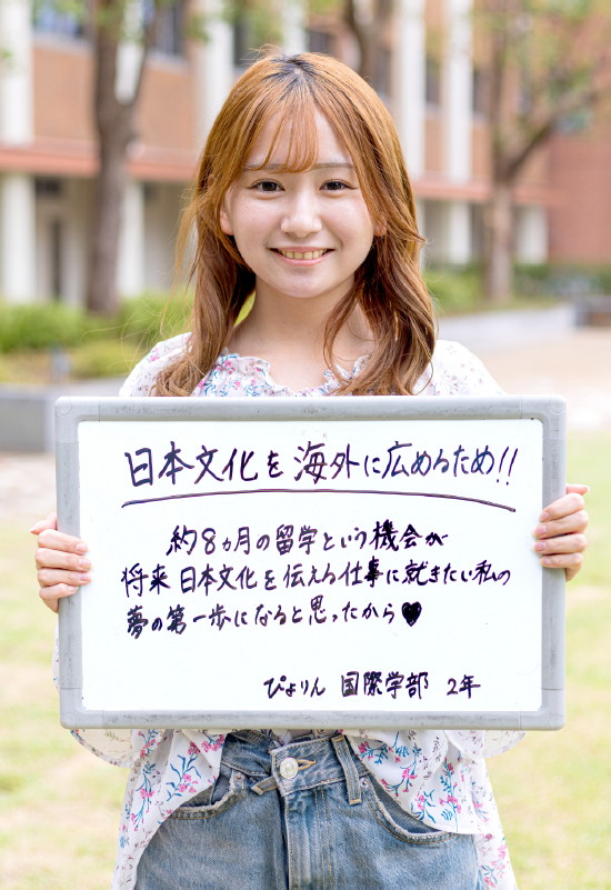 ぴよりん 国際学部 国際学科