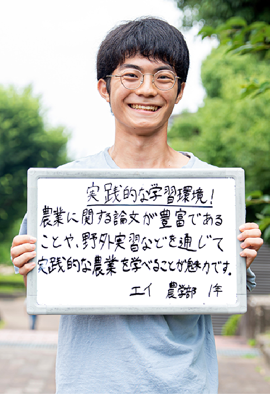 エイ 農学部 農業生産科学科